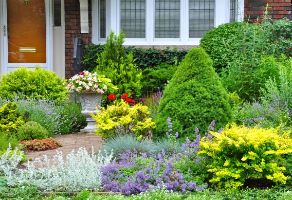Garden Weed Control