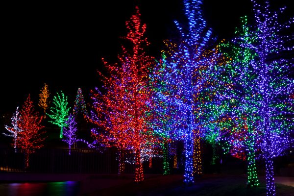 Decorative Lights Installation