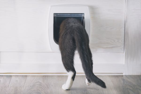 Pet Screen Installation