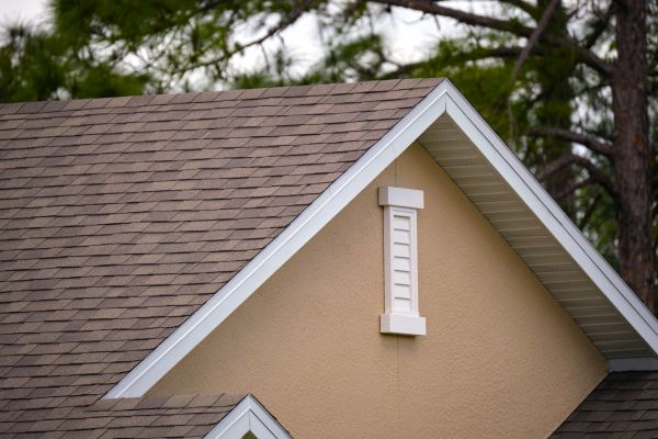 Roof Trim Repair
