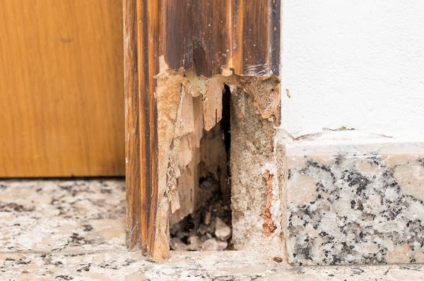 Closet Door Maintenance