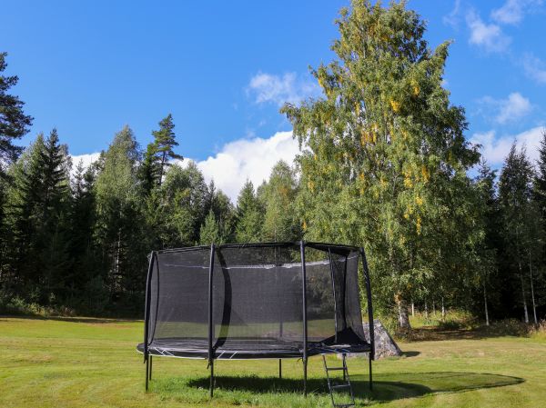 Trampoline Removal