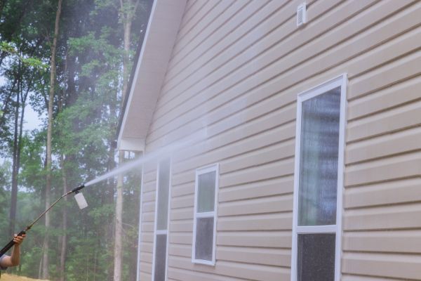 Eaves Cleaning