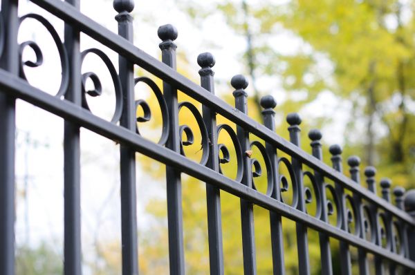 Fence Cleaning
