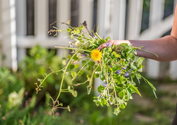 Garden Weed Control - Garden Weed Control Cornelius, North Carolina