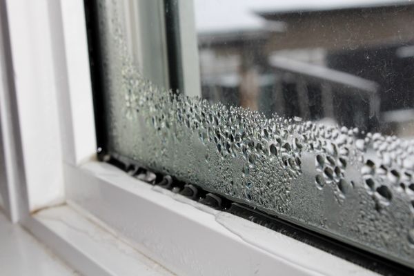 Apartment Window Repair
