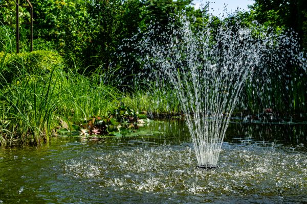 Pond Pump Repair