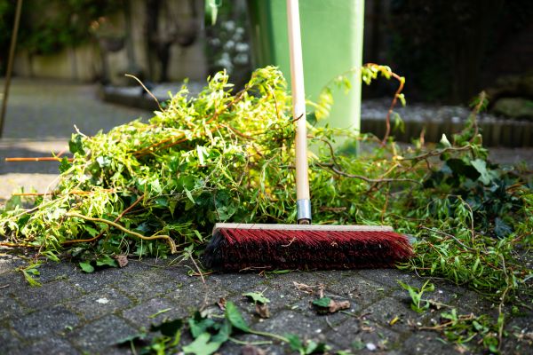 Brush Cleaning Service