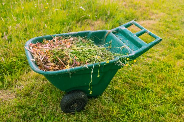 Brush Cleanup Service