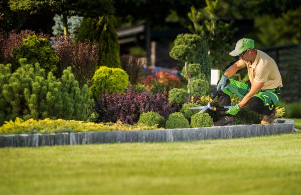 Landscape Handyman Service