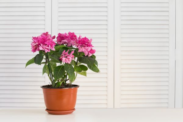Emergency Shutter Repair