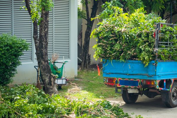Brush Cleanup Service