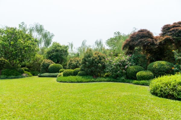 Property Care Maintenance