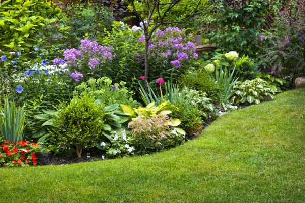 Gardening Maintenance - Gardening Maintenance Davidson, North Carolina