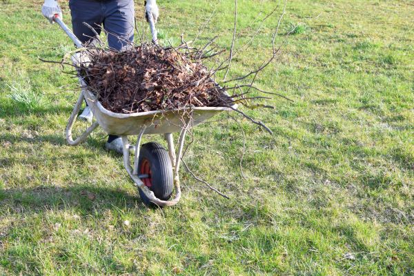 Backyard Brush Clearing