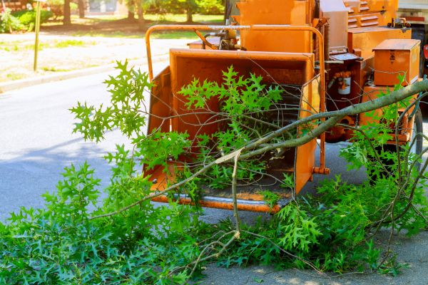 Emergency Tree Trimming