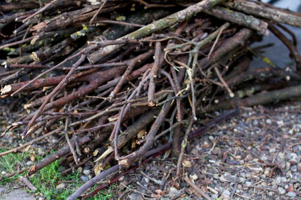 Brush Disposal