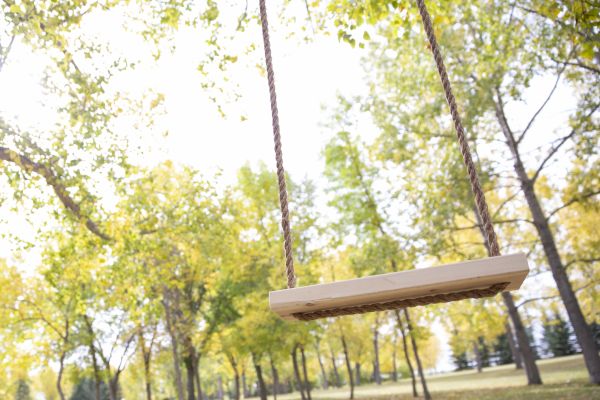Backyard Swing Construction