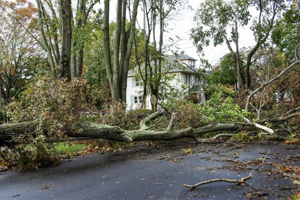 Emergency Storm Damage Removal