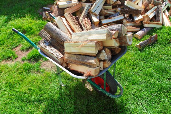 Brush Pile Removal