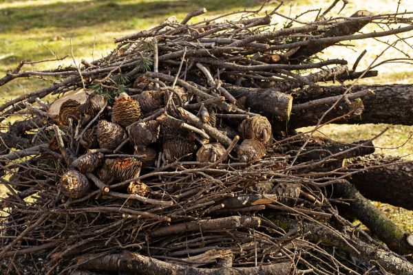 Brush Hauling