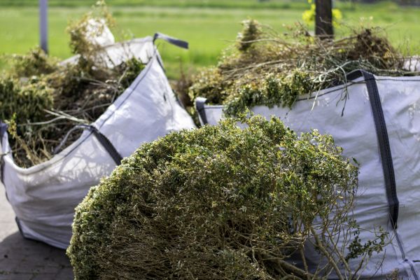 Bush Clearance