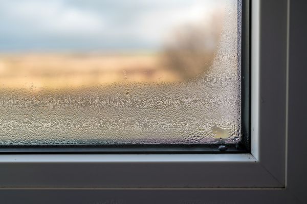 Broken Window Repair