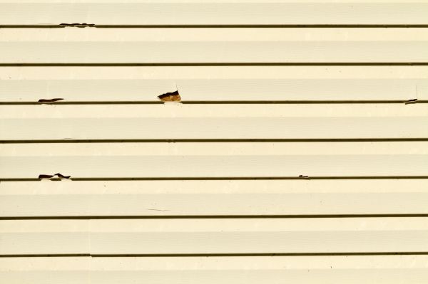 Siding Removal