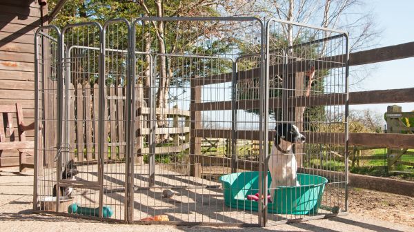 Pet Containment System Repair