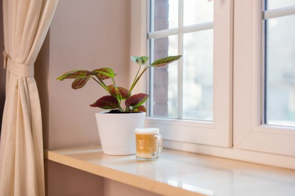 Window Sill Reconstruction
