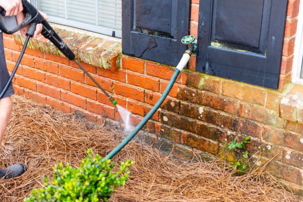 Brick Cleaning