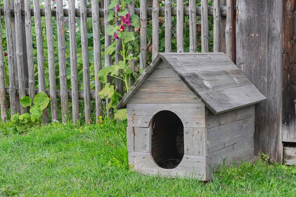 Pet House Installation