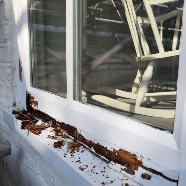 Window Wood Rot Repair