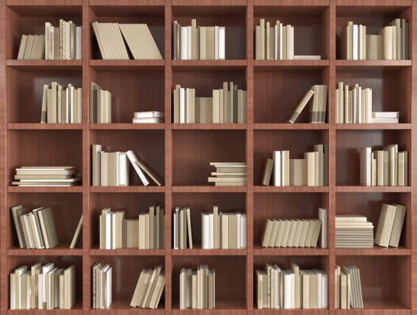 Custom Bookshelf Installation