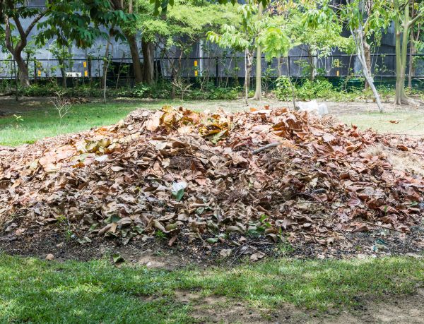 Brush Debris Removal