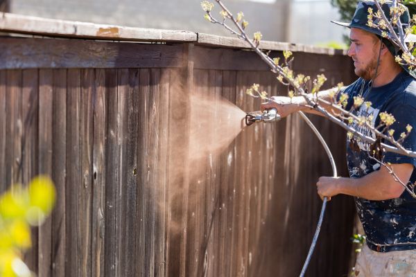 Cedar Fence Coating