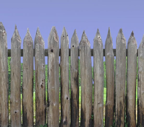 Arbor Assembly