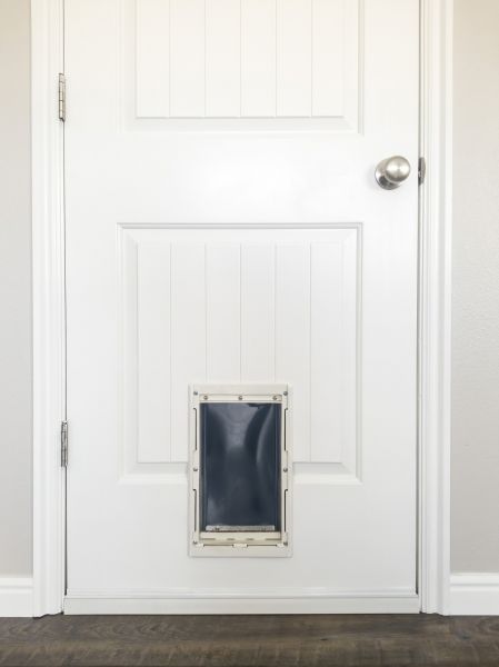 Pet Door Service