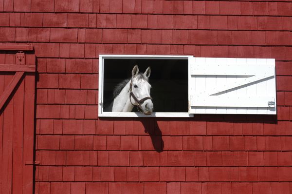 Barn Window Installation