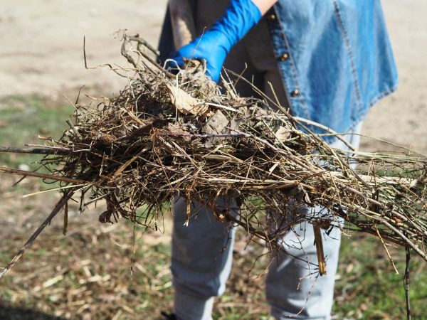 Brush Cleanup Service