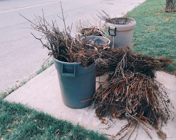 Brush Pile Removal