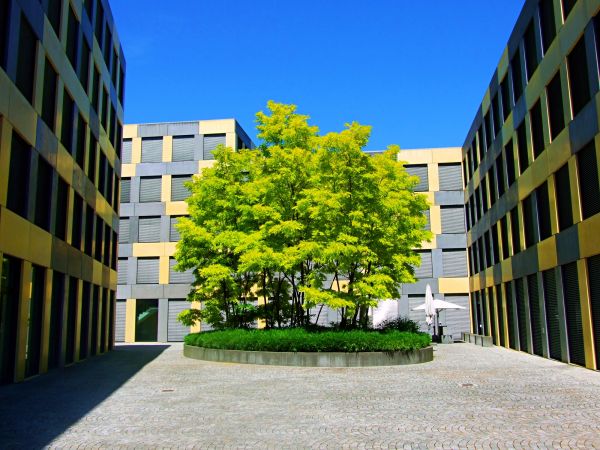 Condo Exterior Cleaning