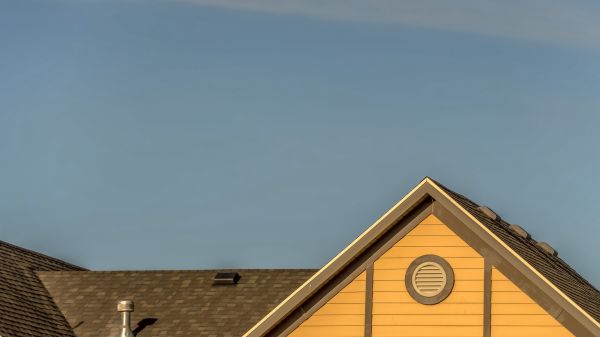 Gable Vent Maintenance