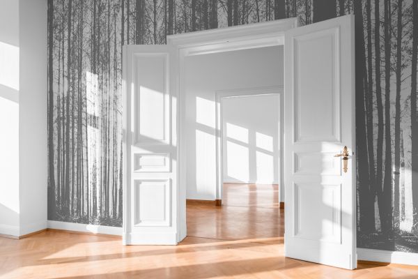 Apartment Door Repair