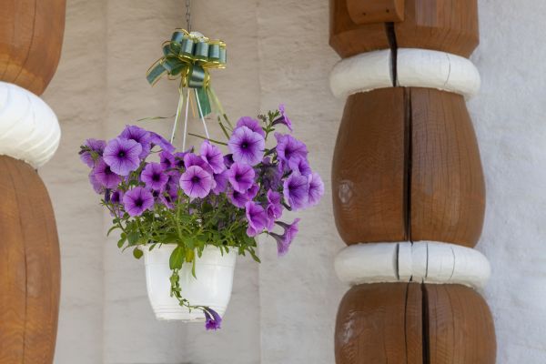 Hanging Basket Installation