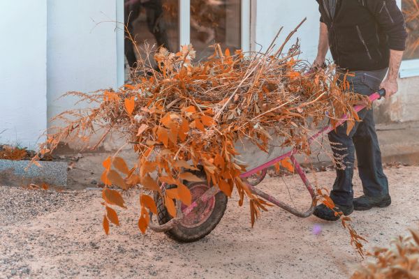 Brush Cleanup Service