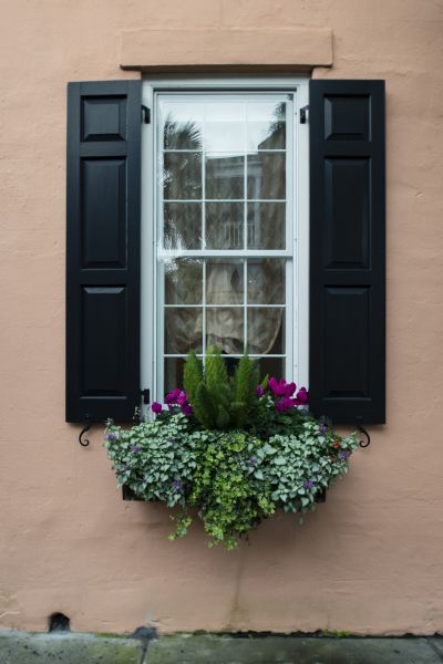House Exterior Cleaning