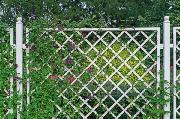 Privacy Trellis Installation
