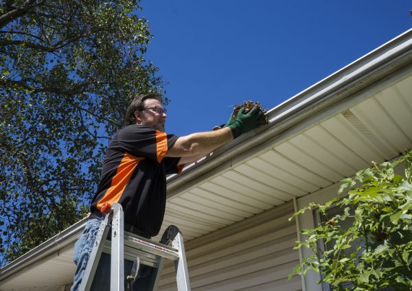 Eavestrough Clearing