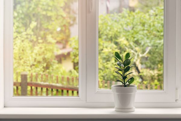 Sill Renovation